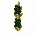 Pick Natalizio con Bacche in Velluto Verde Scuro