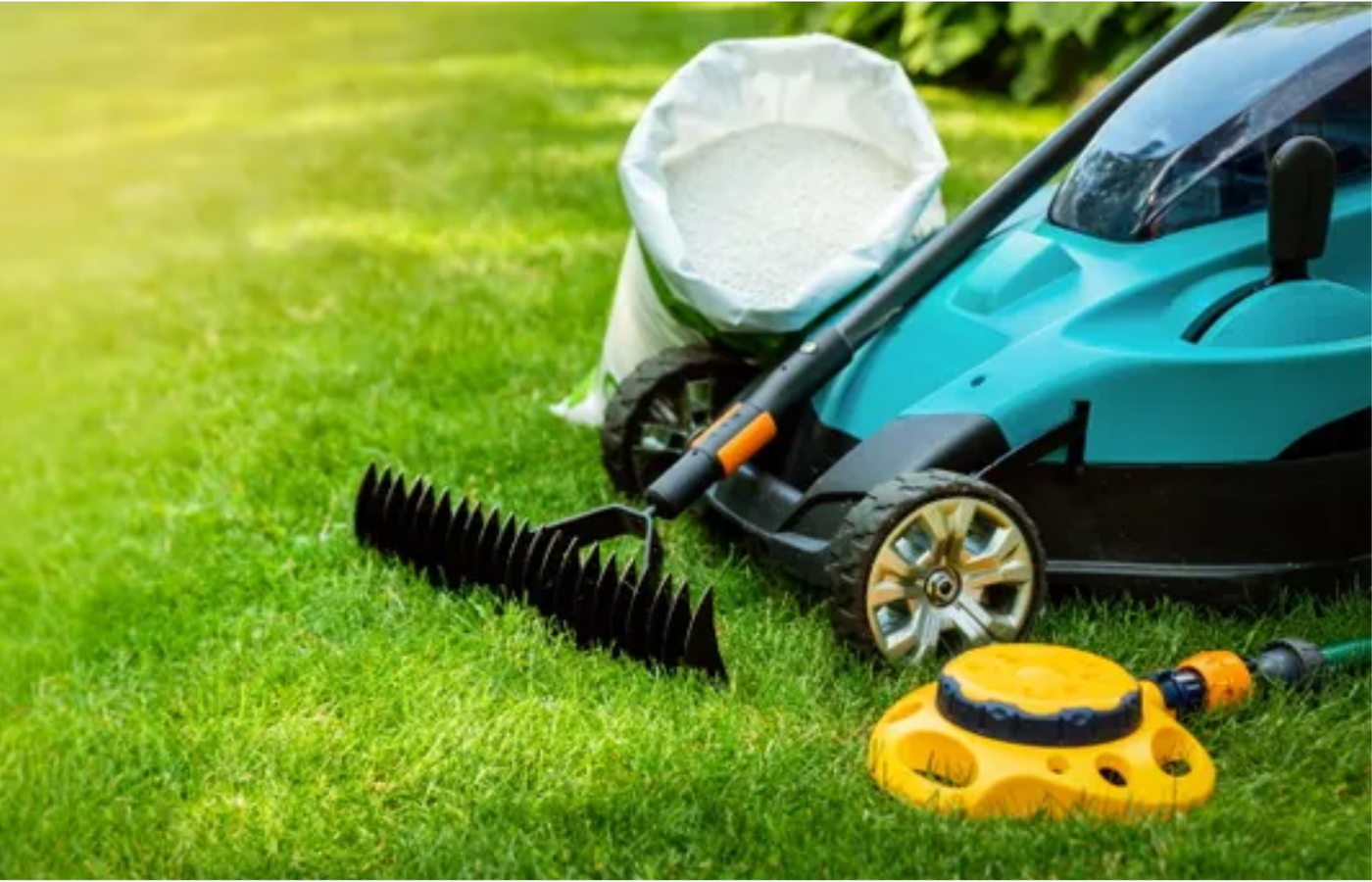 Il giardino ti chiama!