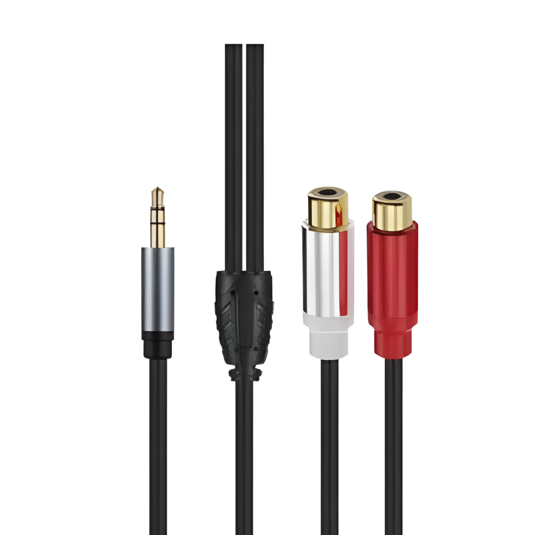 Cavo Adattatore Audio Jack a 2 RCA Femmina