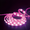 Striscia LED Rosa 36W Alta Luminosità per Interni