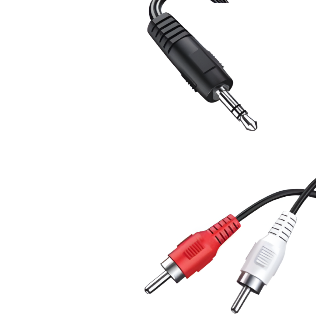 Cavo Audio Jack a 2 RCA Maschio