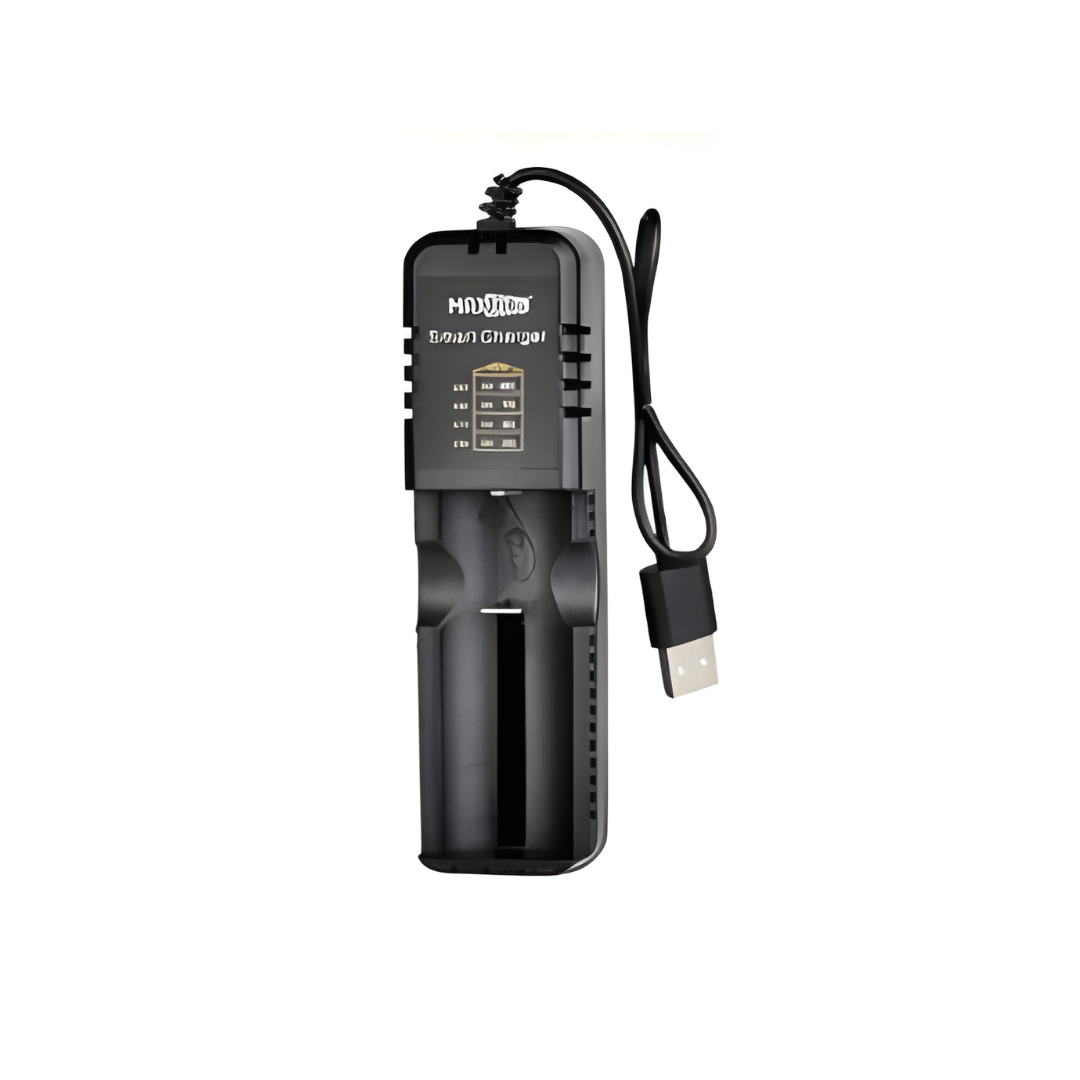 Caricabatterie Doppio Slot USB Ricarica Batterie Litio Universale