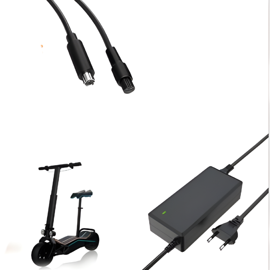 Caricatore Scooter Elettrico 84W Universale